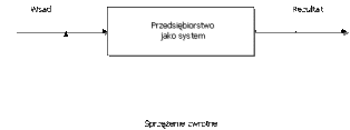 Organizacja jako system